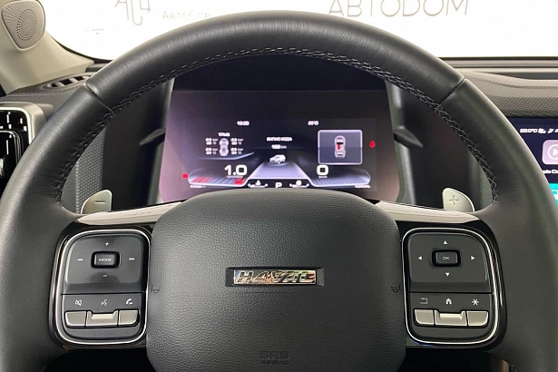 Dargo X Premium 2.0 AMT 4WD (192 л.с.) фото 18