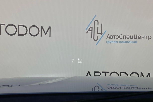 RX Prestige 2.0 AMT 4WD (249 л.с.) фото 19