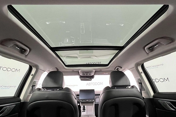 Coffee 01 Premium 2.0hyb AMT 4WD (421 л.с.) фото 26